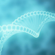 Illustration for article titled Google Is Hunting for an Autism Gene